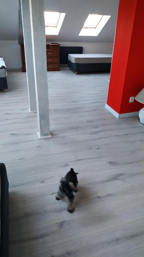 Apartament Witkacego Czerwony Slupsk Bagian luar foto
