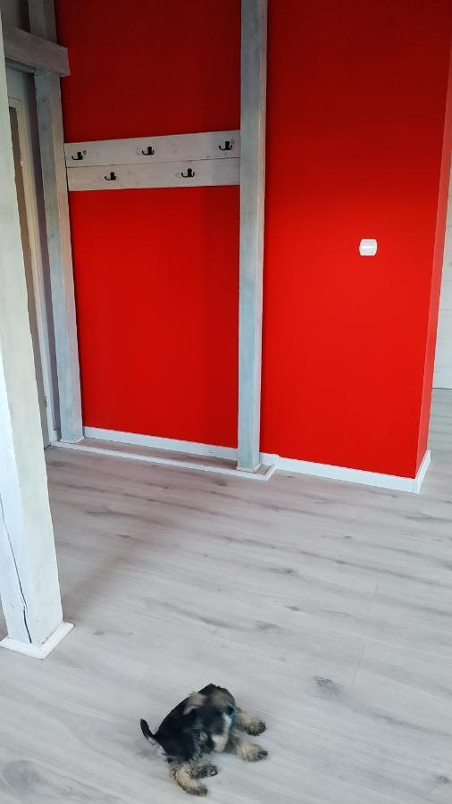 Apartament Witkacego Czerwony Slupsk Bagian luar foto